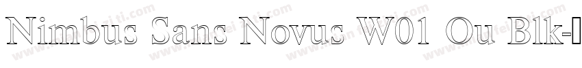 Nimbus Sans Novus W01 Ou Blk字体转换